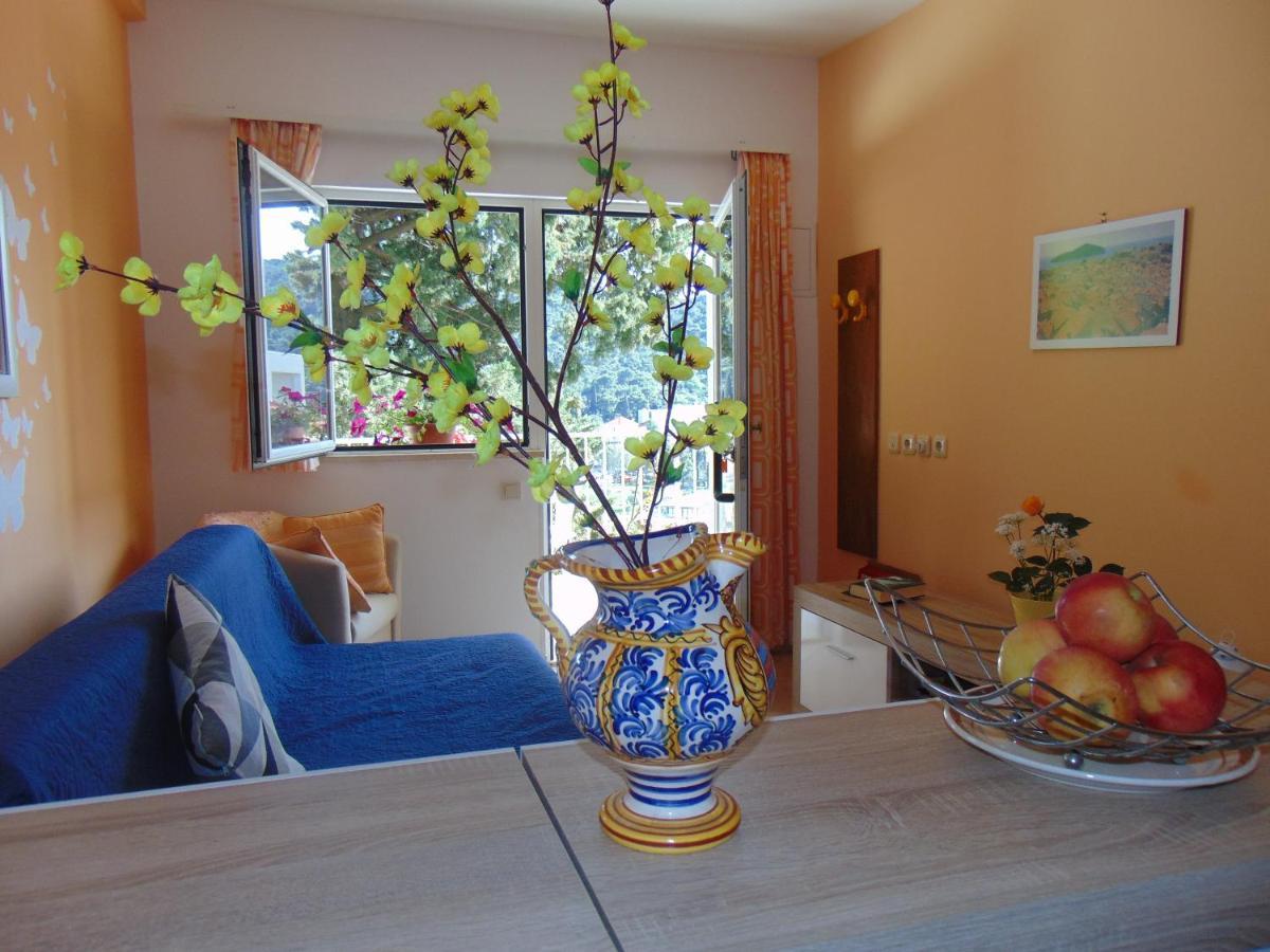 Apartament Elelu *